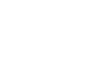 Breezy Stove